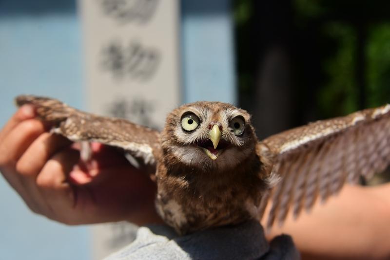 被欺负后的愤怒不算戾气，它是自我保护的表现。当无端被指责冤枉，愤怒是正常反应。不