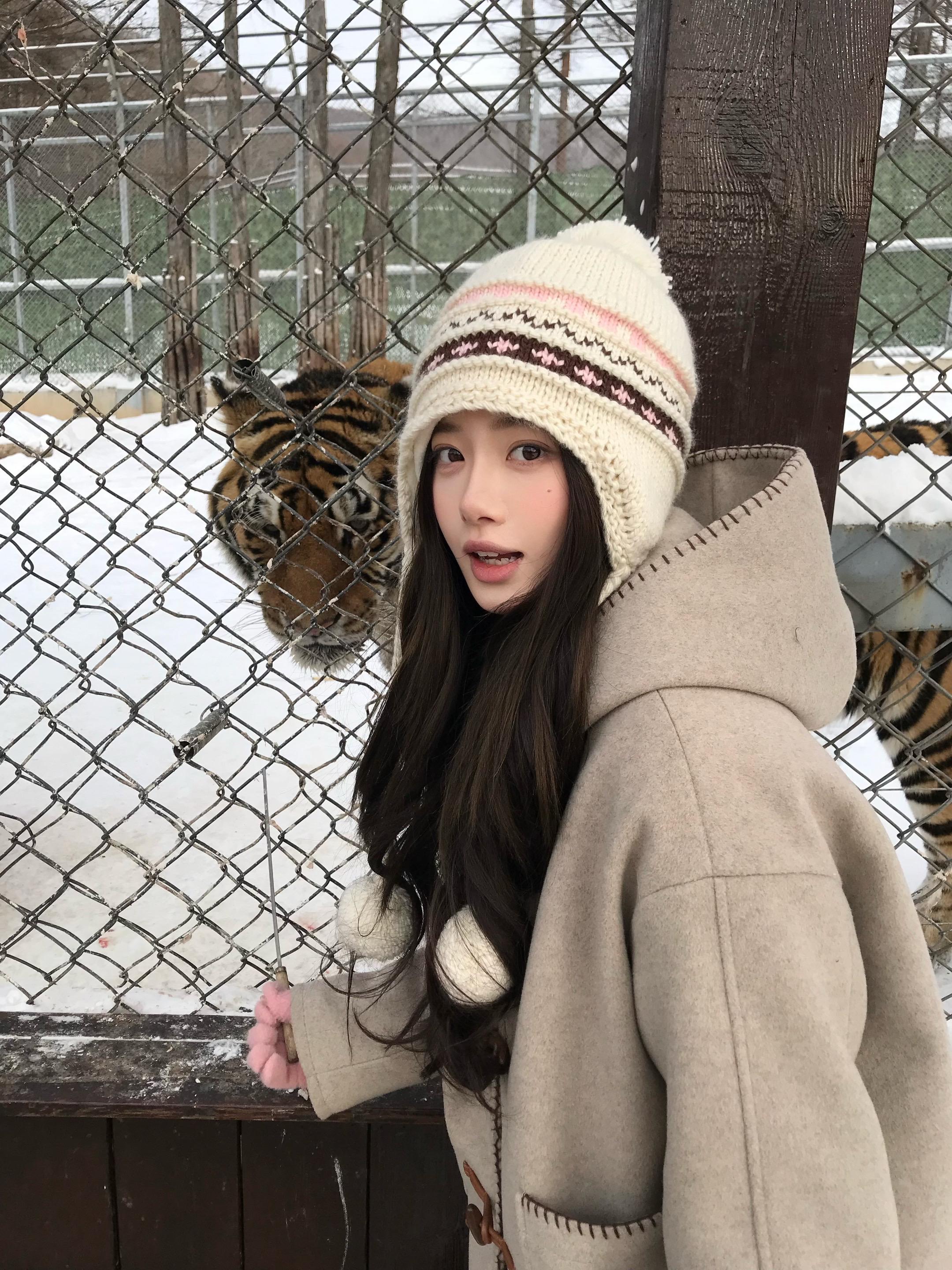 今天去看大老虎了🐯