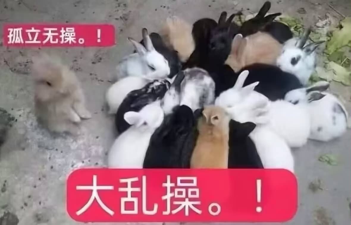 分享图片 