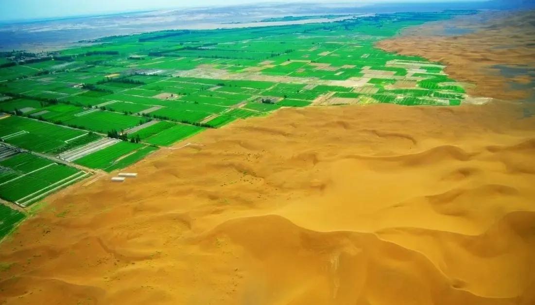 国外治理沙漠：
拨款给研究所、大学，让他们研究，然后找个地方实验，一旦有成功的经