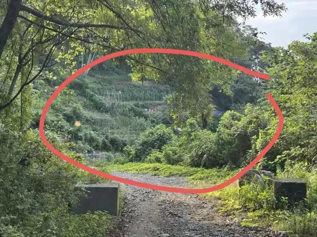 化骨水主人已经找到！3桶化骨水，一桶是完整的，两桶是残余。

此前，杭州女子散步
