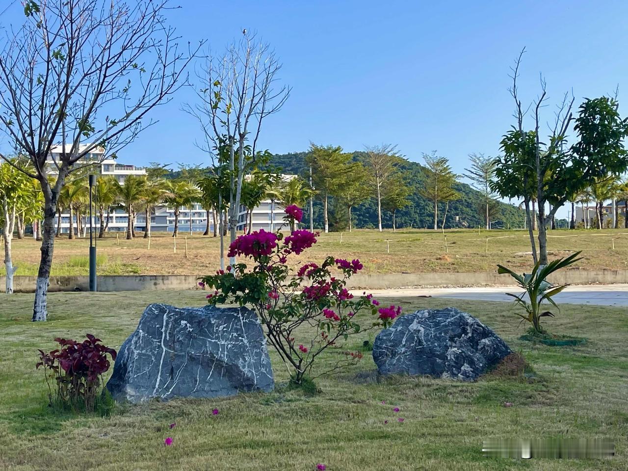 海南陵水黎安大学城内风景美