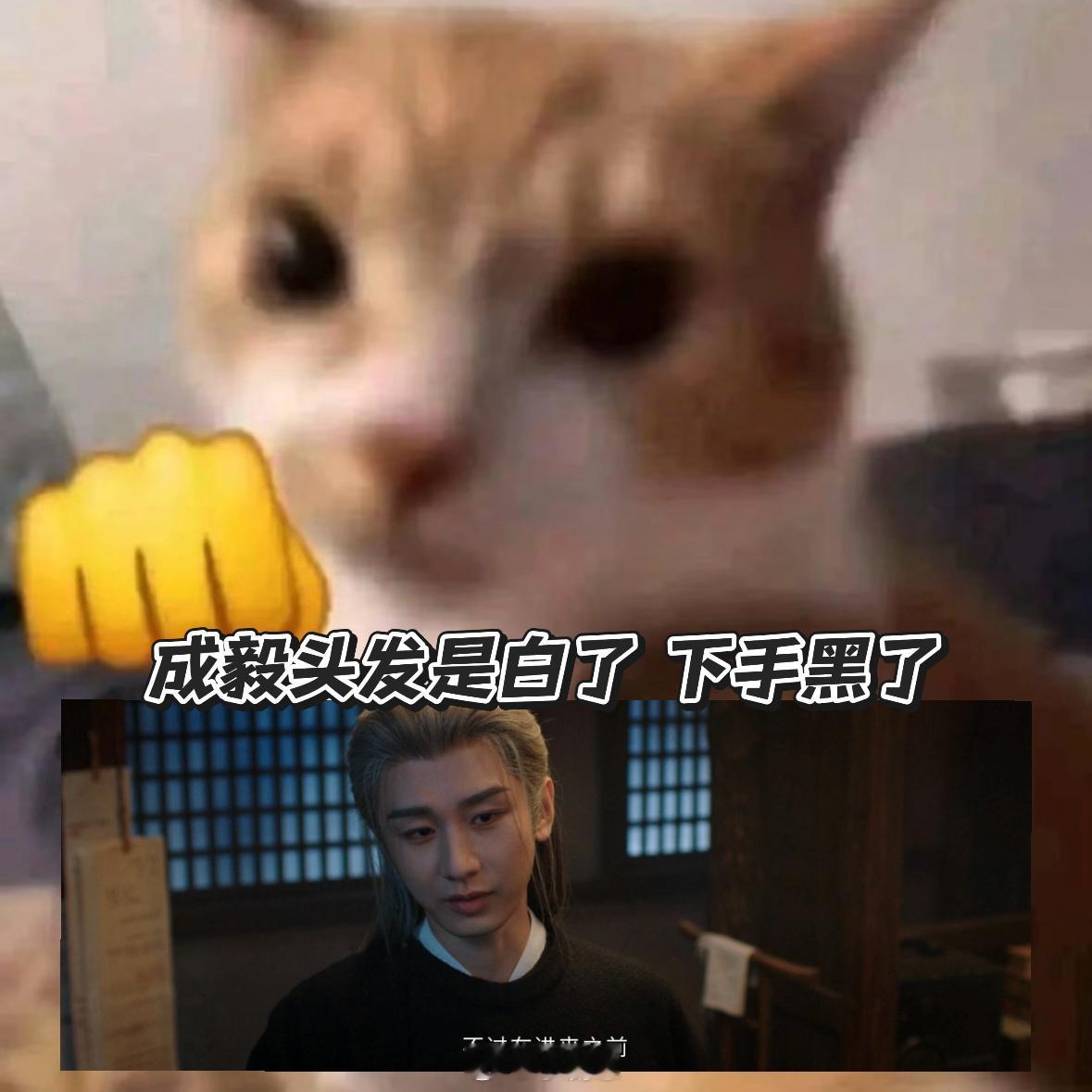 谢淮安染白发谢淮安染白发居然这么帅！完全没翻车还更有味道了～ 看着他一路打拼真的