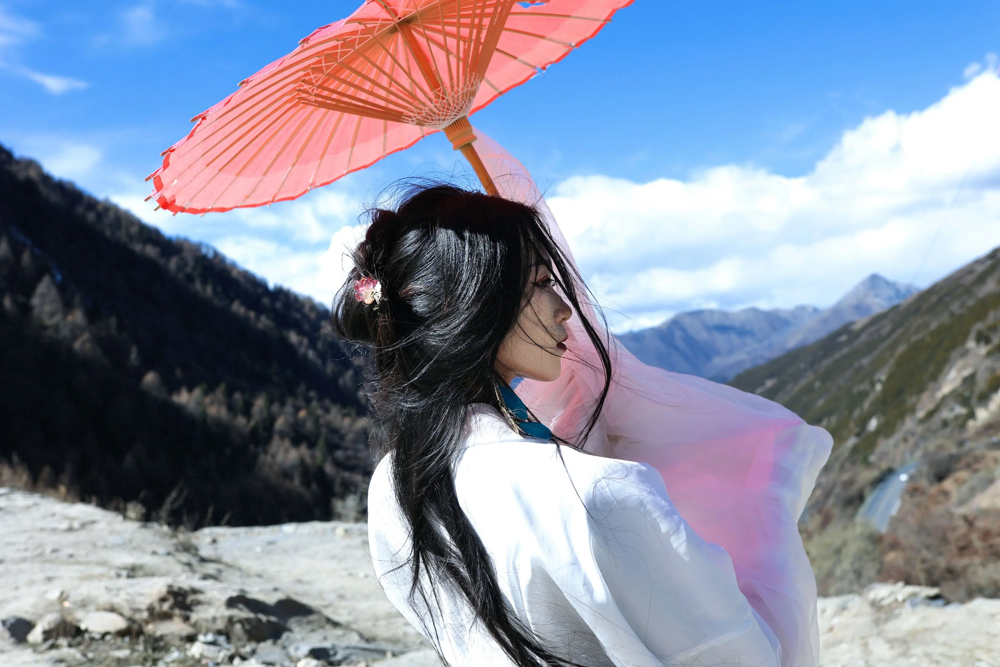 “醉里挑灯看剑，梦回吹角连营。”