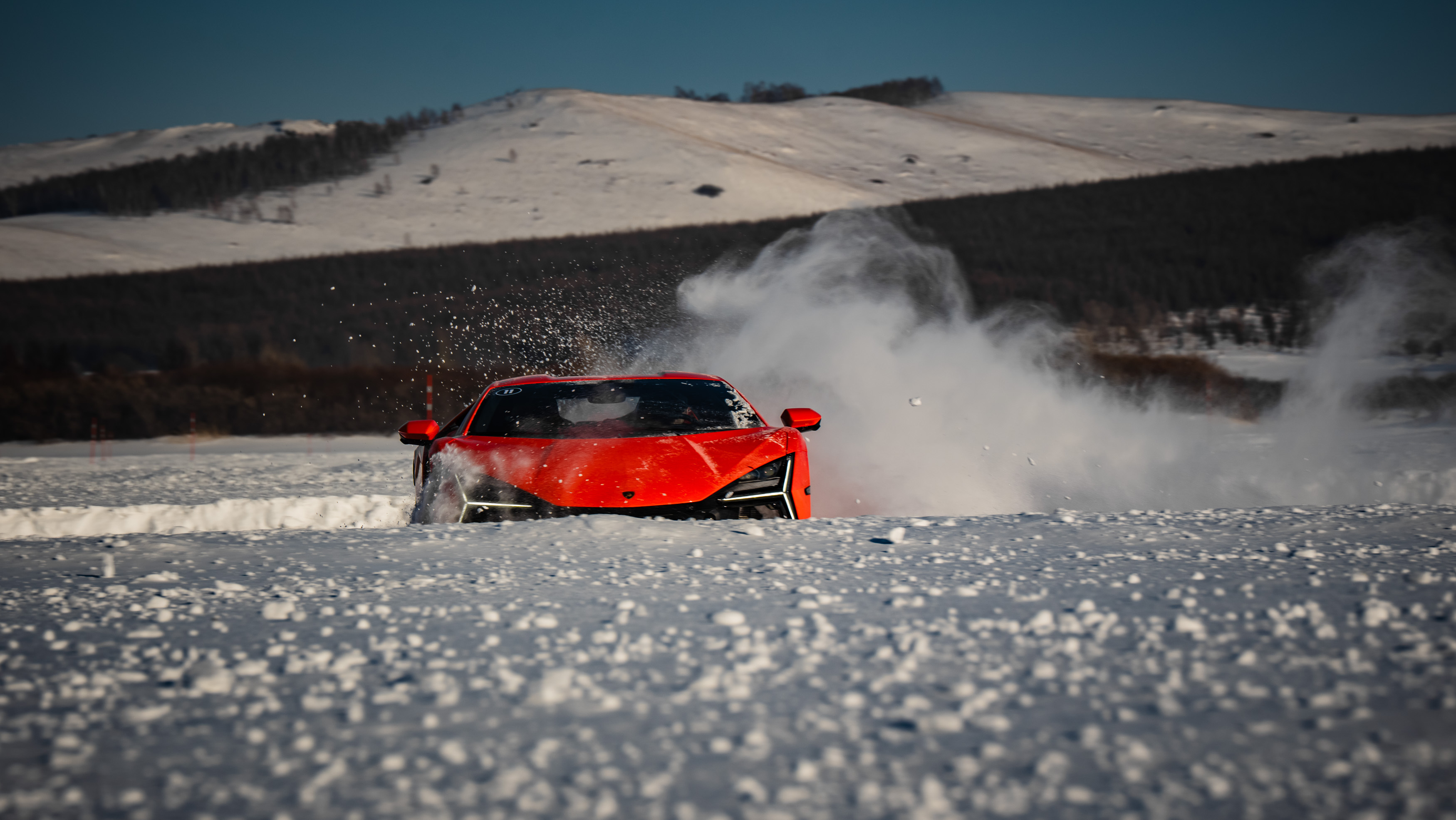 收到一组帅图，蛮牛遇到冰雪。Revuelto和Temerario，喜欢的朋友点原