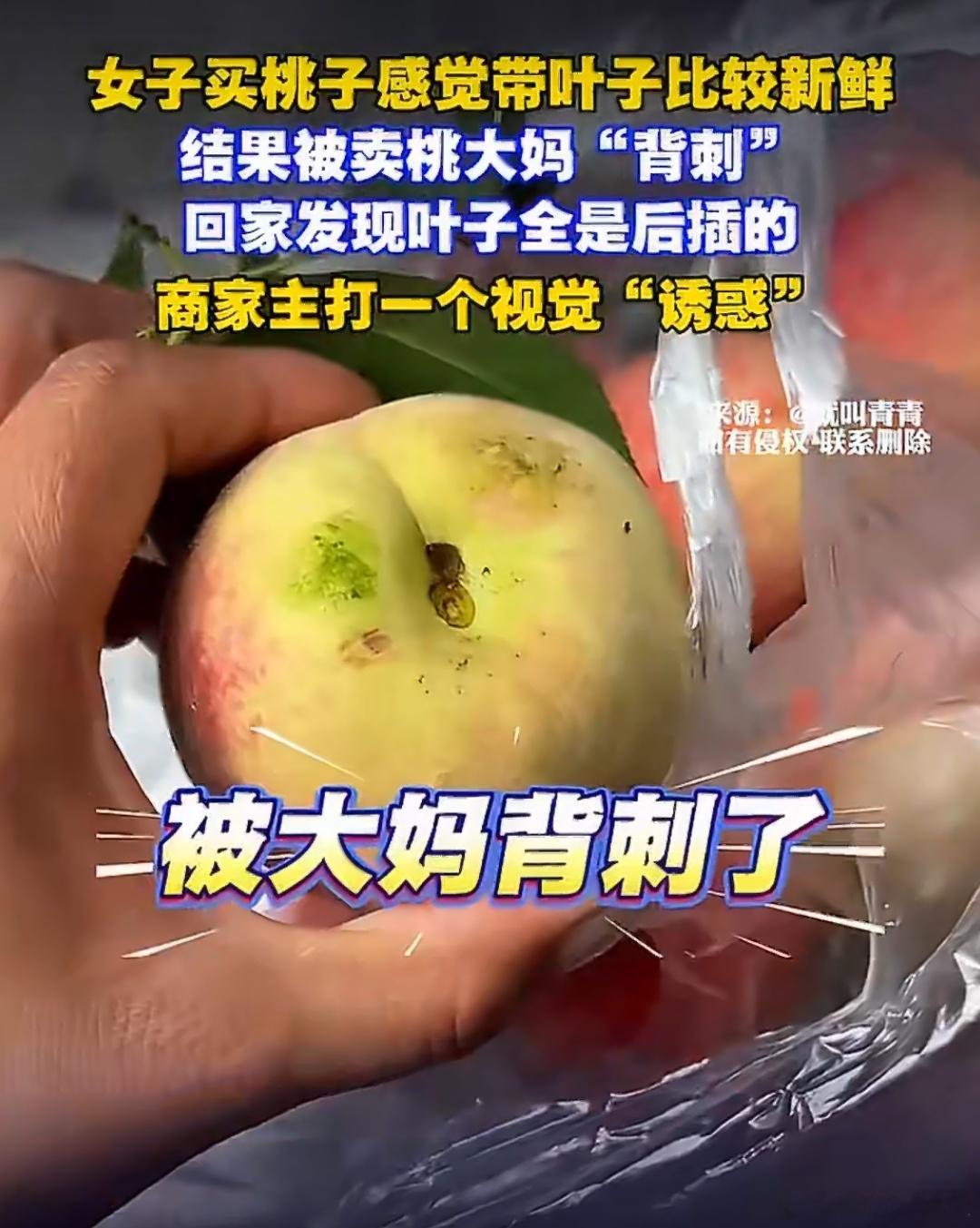 女子买桃回家发现叶子全是后插的2026年6月初，女子在云南保山腾冲的市场或路边摊