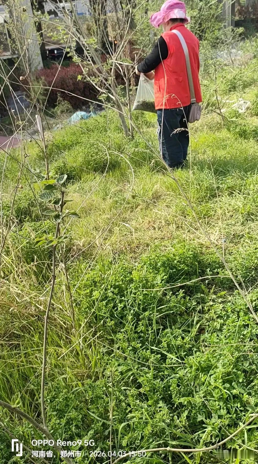 这才是真正的绿色蔬菜，不知道你吃过这种吗？

今天下午3点多，以前的同事约我出去