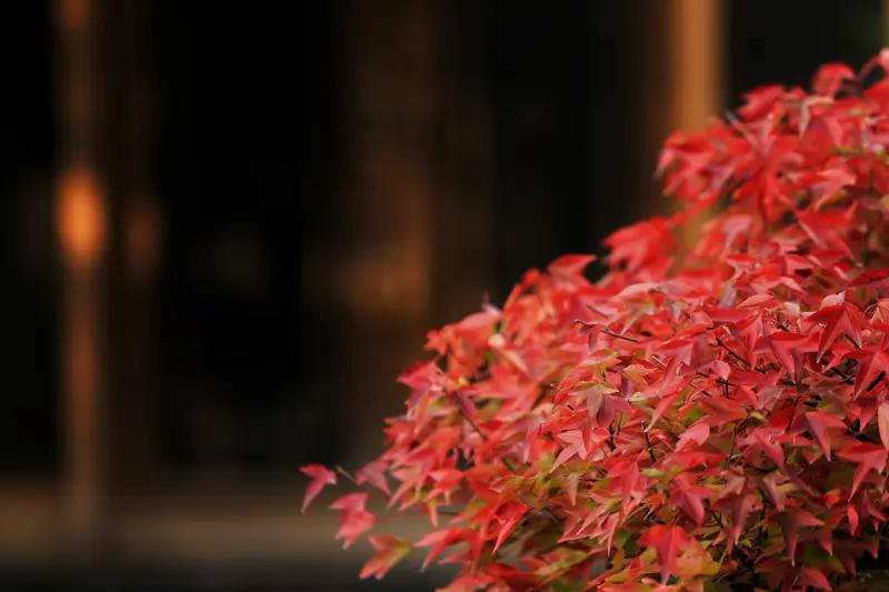 上联：花飞春恨短，下联您请落叶秋怨长。