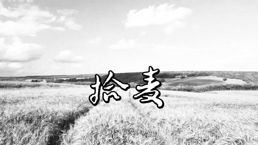 暮春渐远，盛夏初临，又到了一年收麦的时节。城边的道路两旁，铺满了金灿灿的麦子，阳