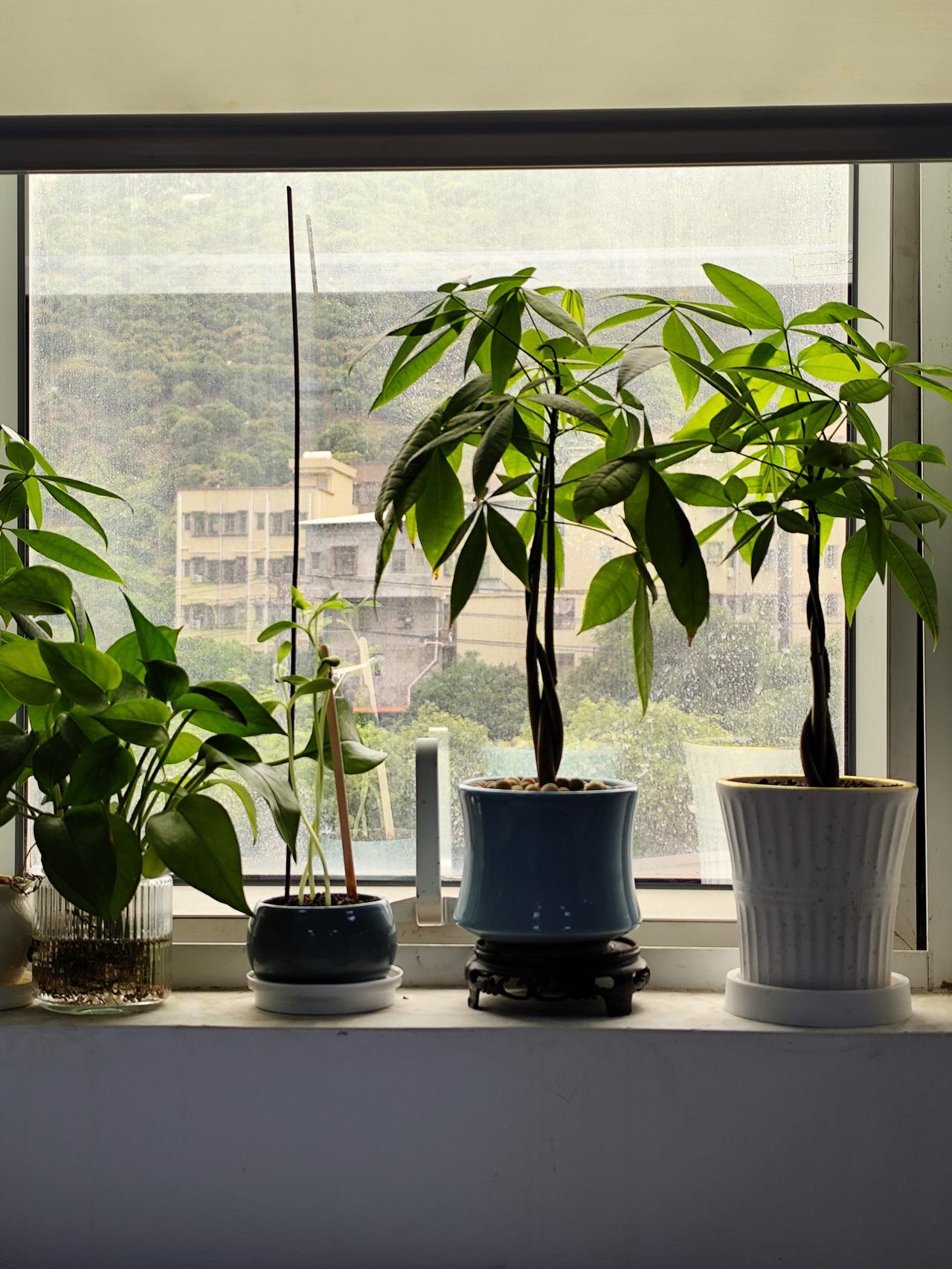 不要天真，这个世界比什么都现实。
当你有利用价值的时候，朋友是最多的；
当你一文