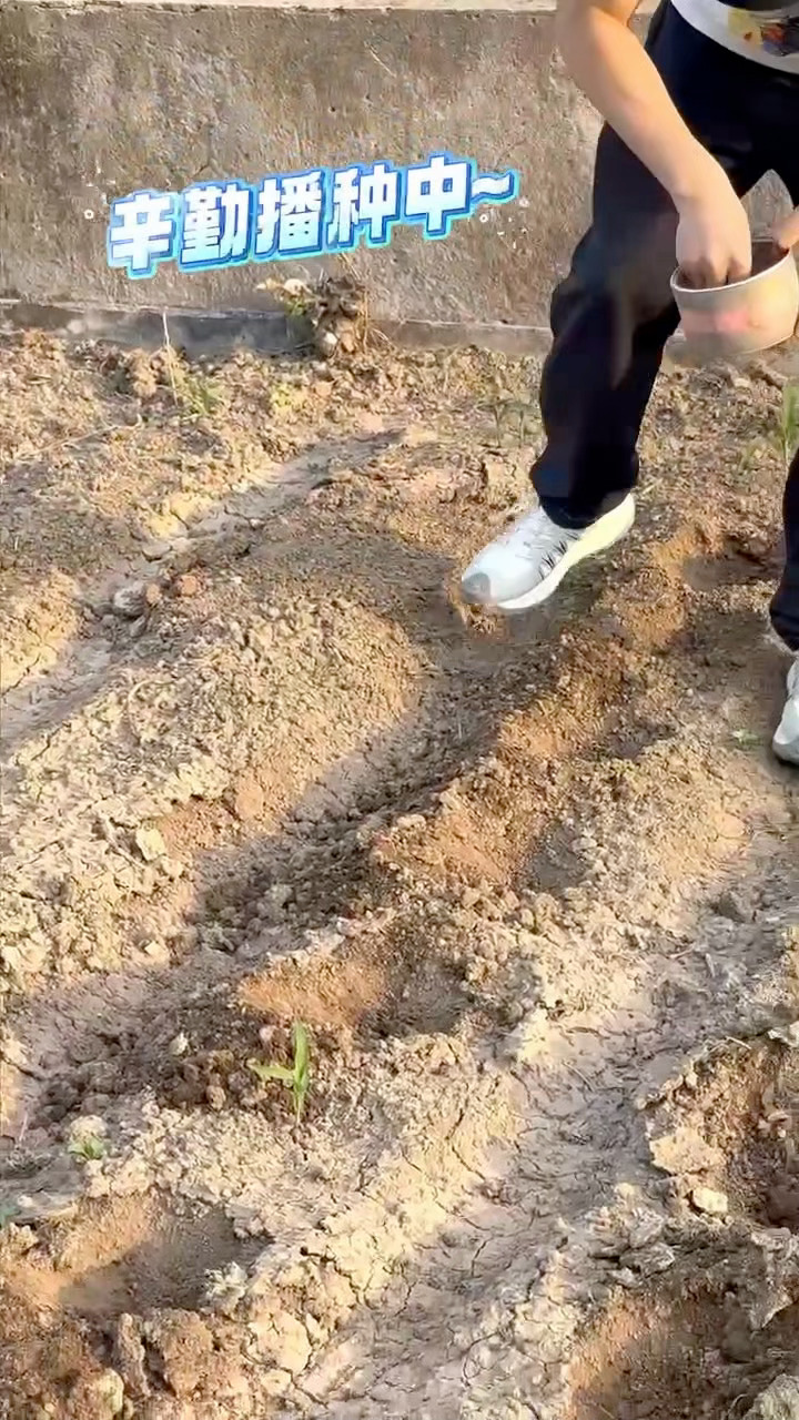 小沈阳有自己的种地吧好喜欢小沈阳这种热爱生活分享生活的艺人，真的很接地气，很有生
