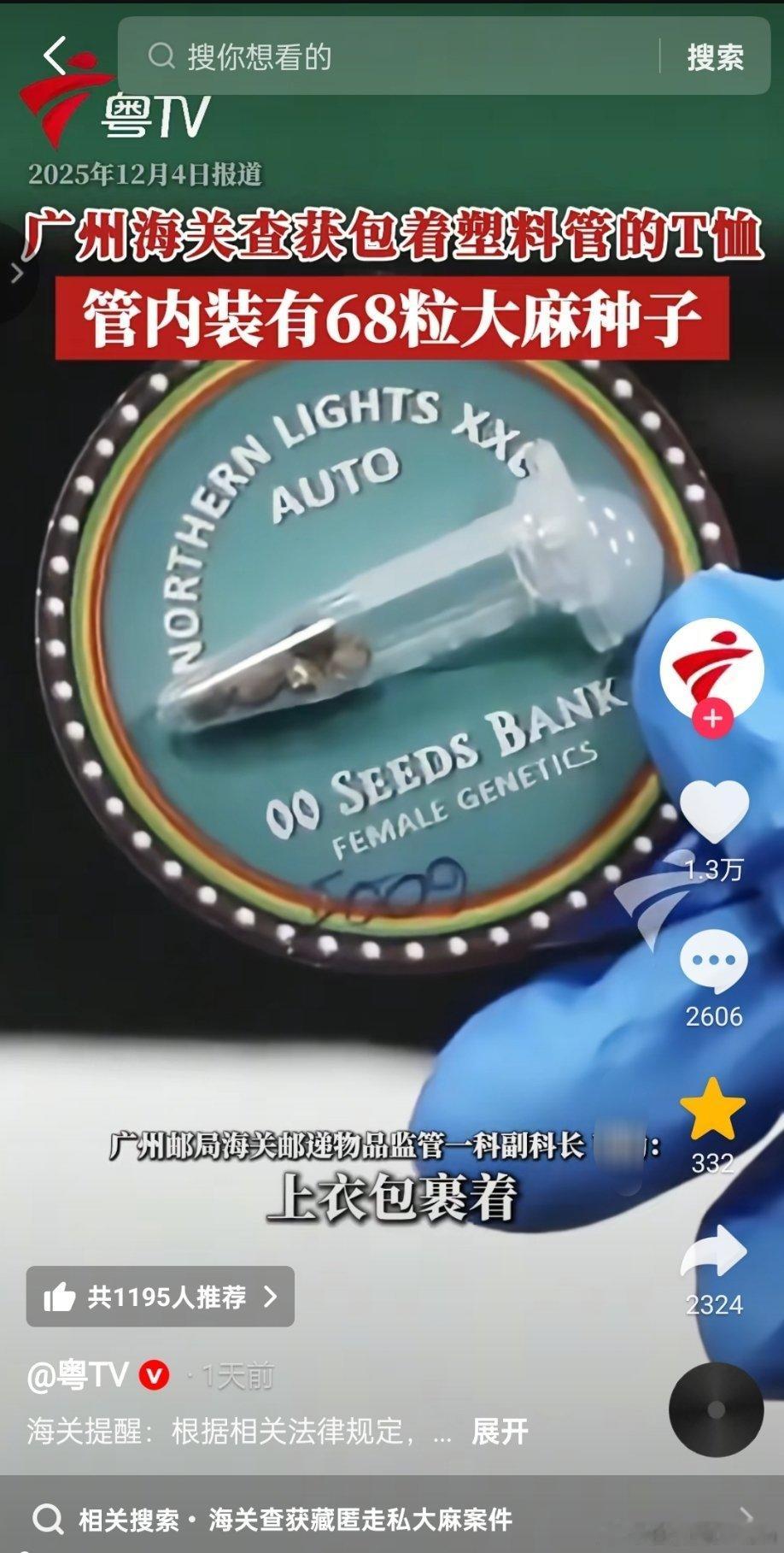 广州海关查获包着塑料管的T恤。管内装有68粒大麻种子。热点现场