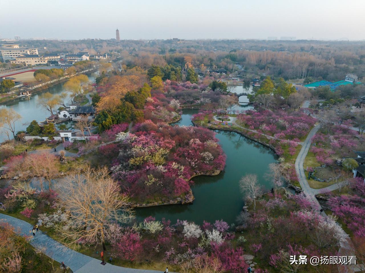 扬州瘦西湖湖上梅林🔥上榜省级赏梅地图！春日赏梅天花板来啦🌸
 
因为“水韵江