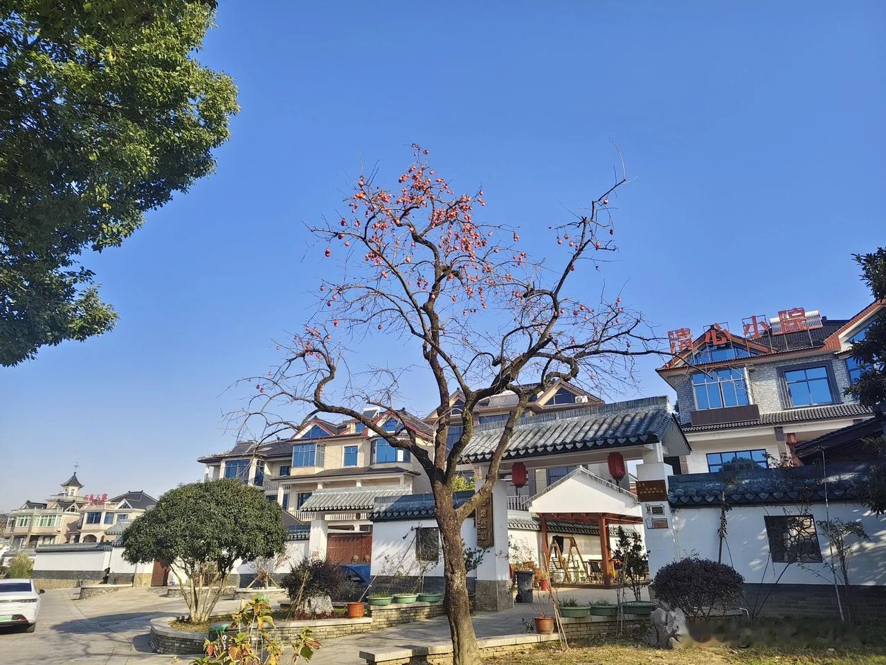 中国传统文化中，我们造房子的大门是很有讲究的。
[赞][赞][赞][赞][赞]