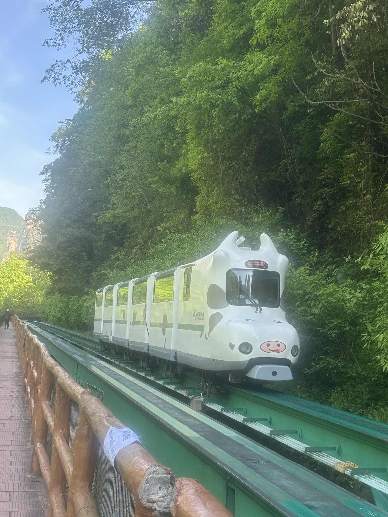 专家：中国最晚明年进高收入国家行列是指专家收入吗？其实专家收入已经达到高收入国家