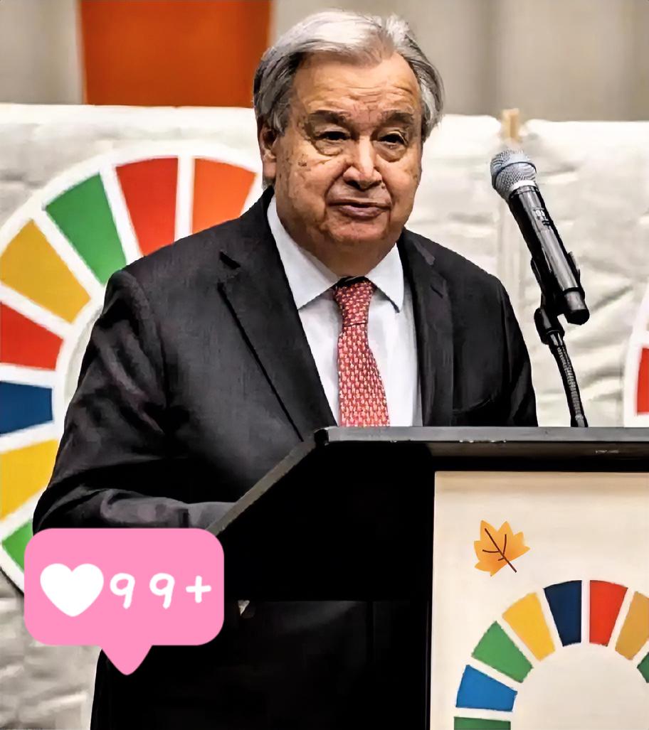 大快人心！

    联合国亮出态度！

当地时间11月17日，联合国再次明确重