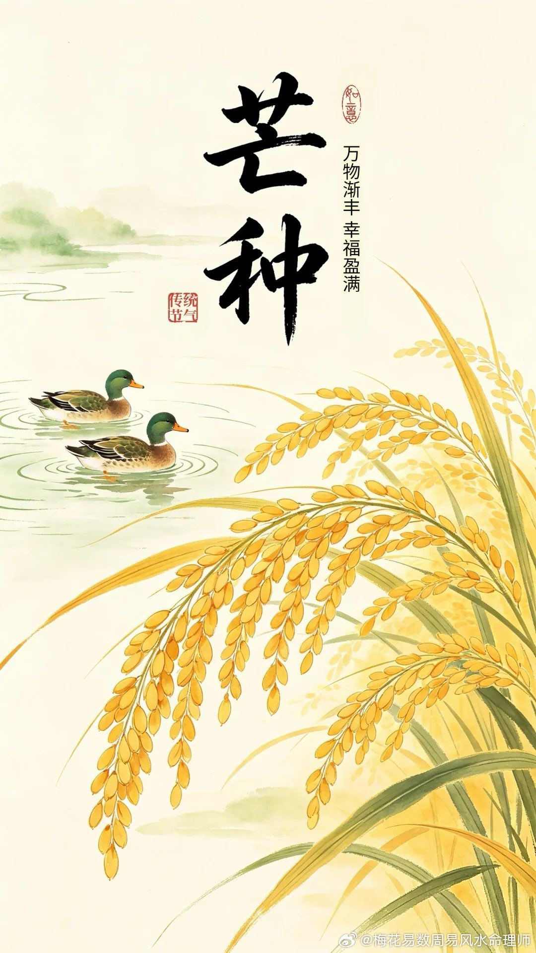 今日芒种，入甲午月。