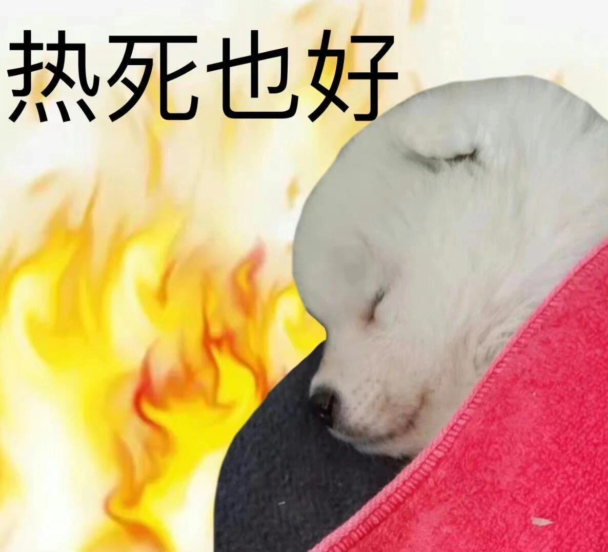 长沙未必有非洲凉快 同样是高温，感受却天差地别。非洲很多地方热得干脆利落，长沙是