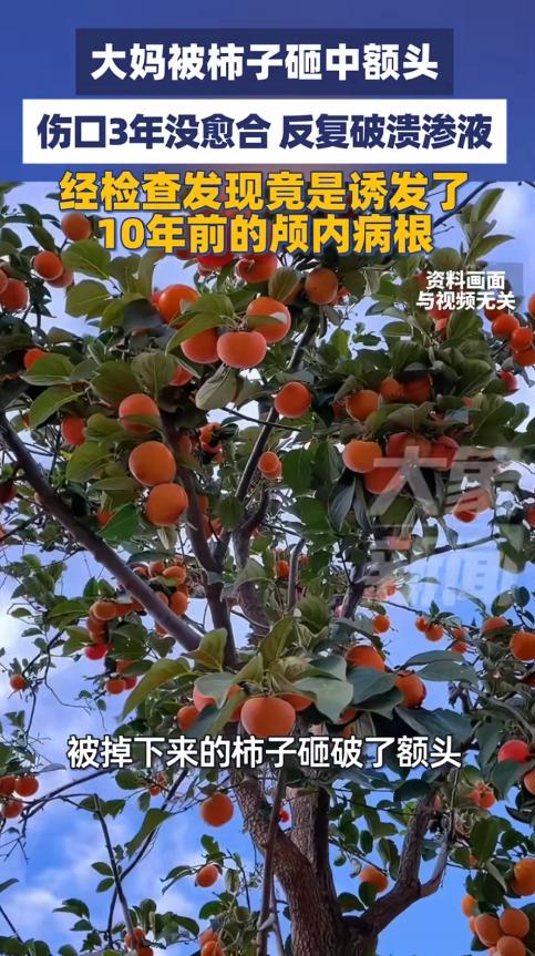 江苏南京，一大妈被树上掉落的柿子砸中额头，起初只破点皮，谁料伤口3年都长不好，反