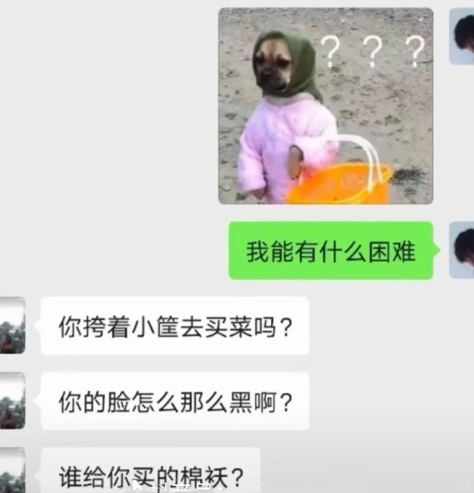 当父母以为我发的表情包就是我🤣