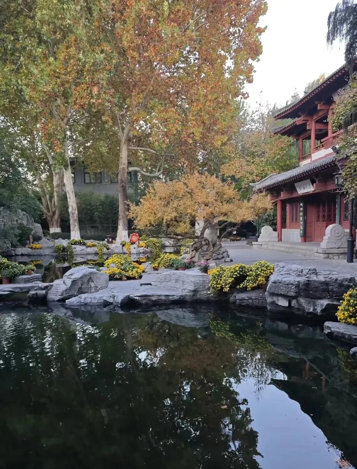 快乐就是，走走停停的自由，拍拍自己喜欢的风景[微笑]