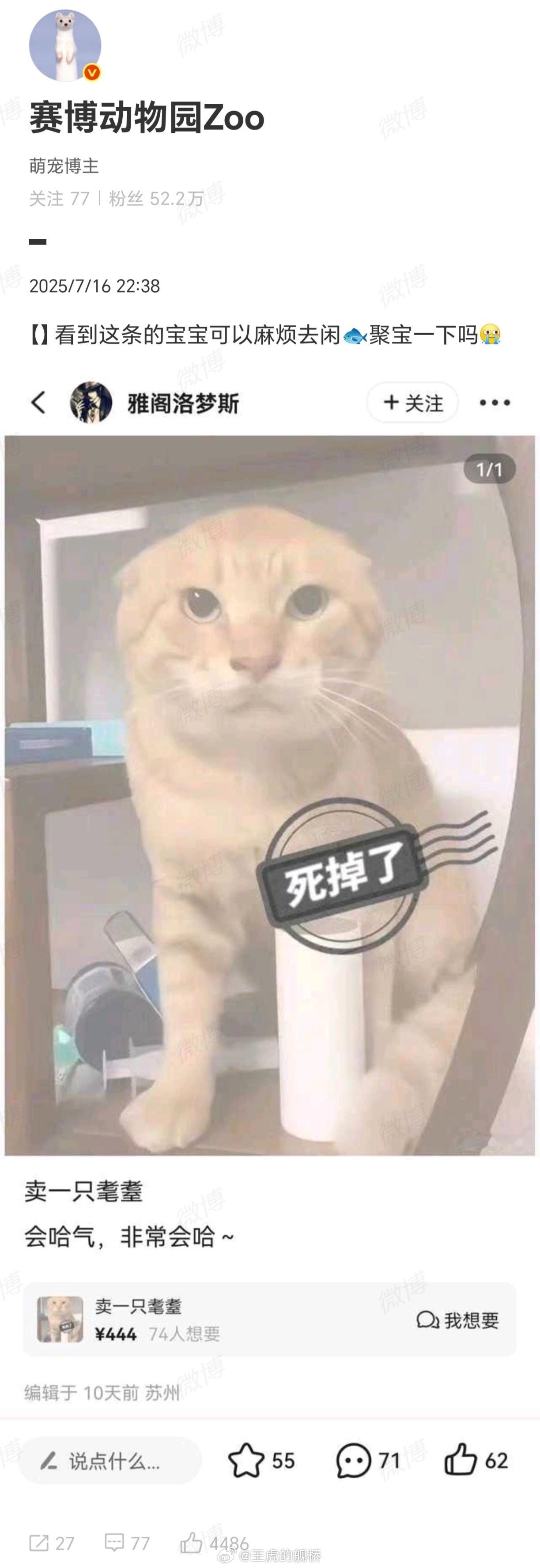 举报什么？举报猫虐人吗？😭 ​​​