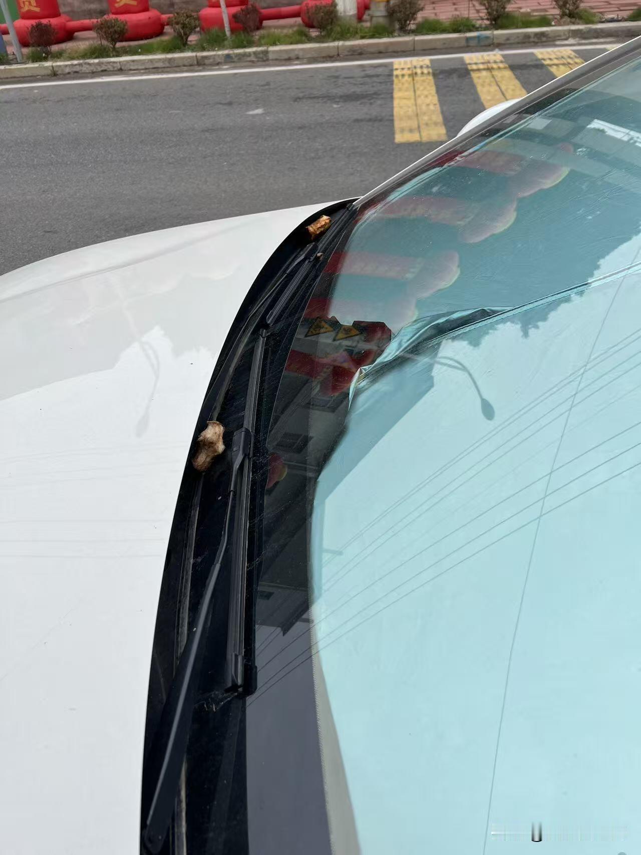 开车前要绕车一周！雨刮器被人故意放石块！
本人的车平时停在村里的马路边，没有影响