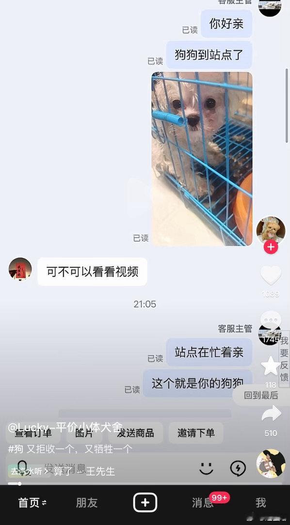 图片里左右两边都该死 评论里还有晒自己在直播间买到的活体狗 这些人也一起去陪葬 