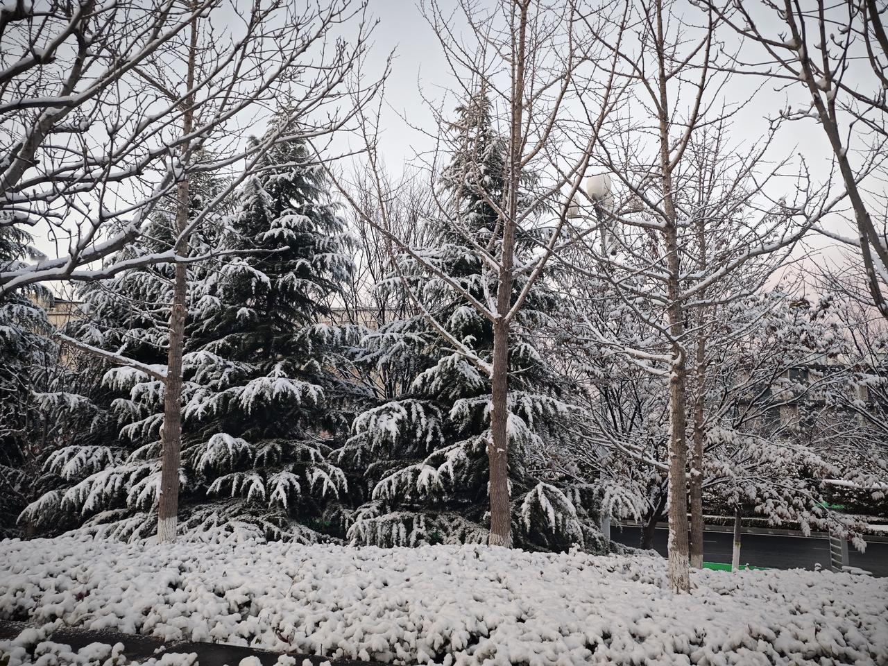 朋友说最近班里流感倒下的都是些成绩好听话的，那些调皮捣蛋从来都不怎么请假，似乎百