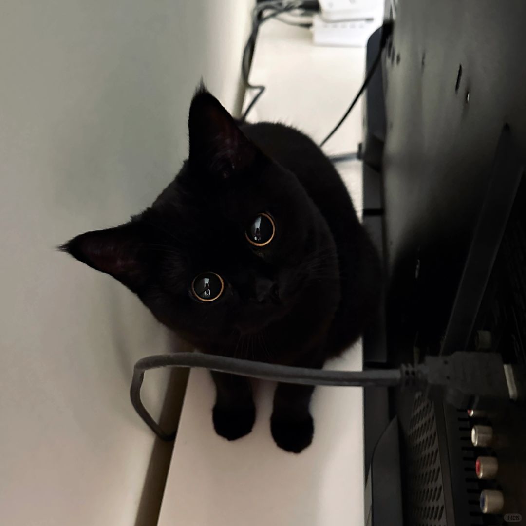 师傅你是做什么工作的？