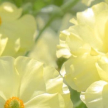 每日一善每日一善 阳光信用 人生路上，要学会善待，善待他人，可以让人生走得更远；