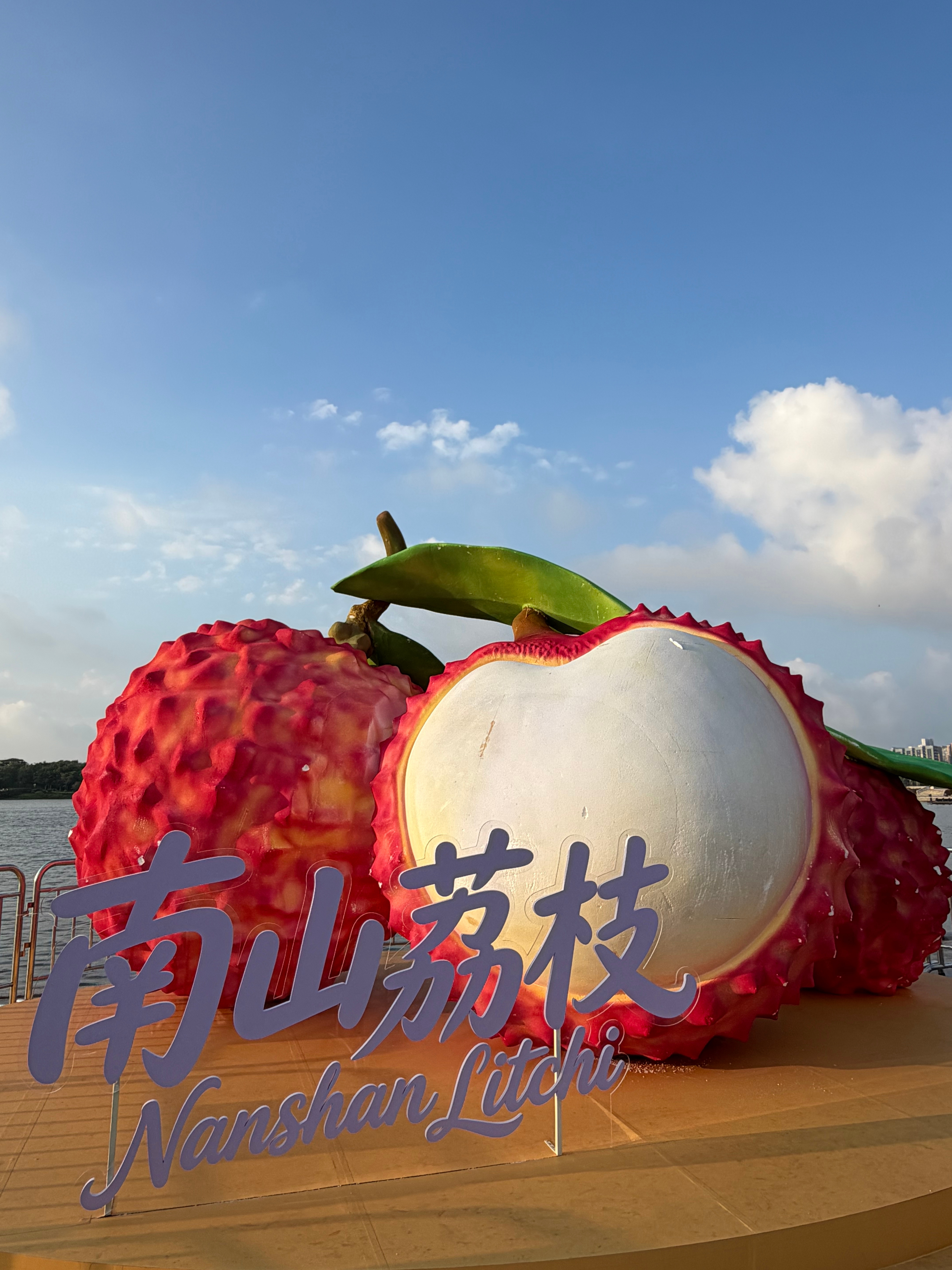 广州的是妃子笑吧东莞的是糯米糍深圳南山的是荔枝王也是最贵的吧？ 