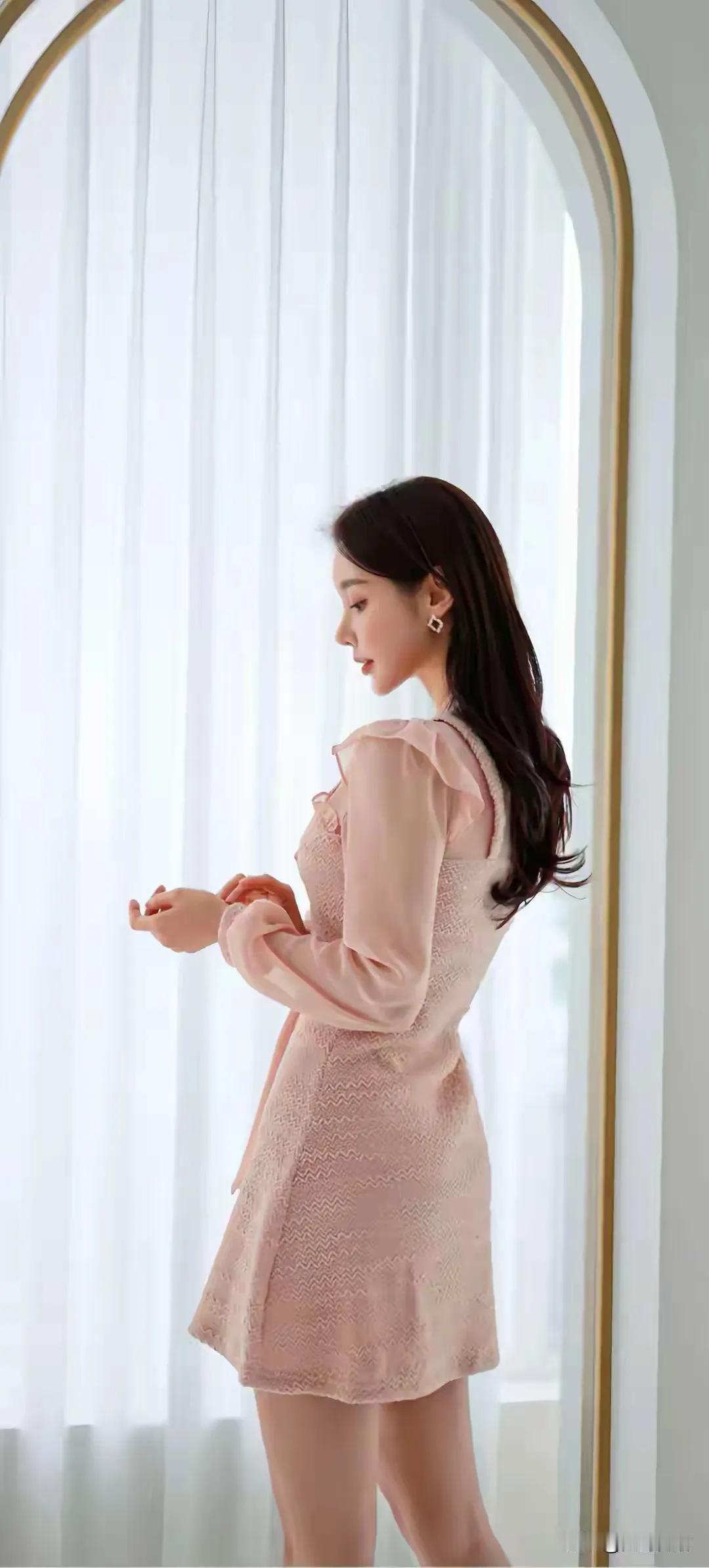 每日一珠的分享