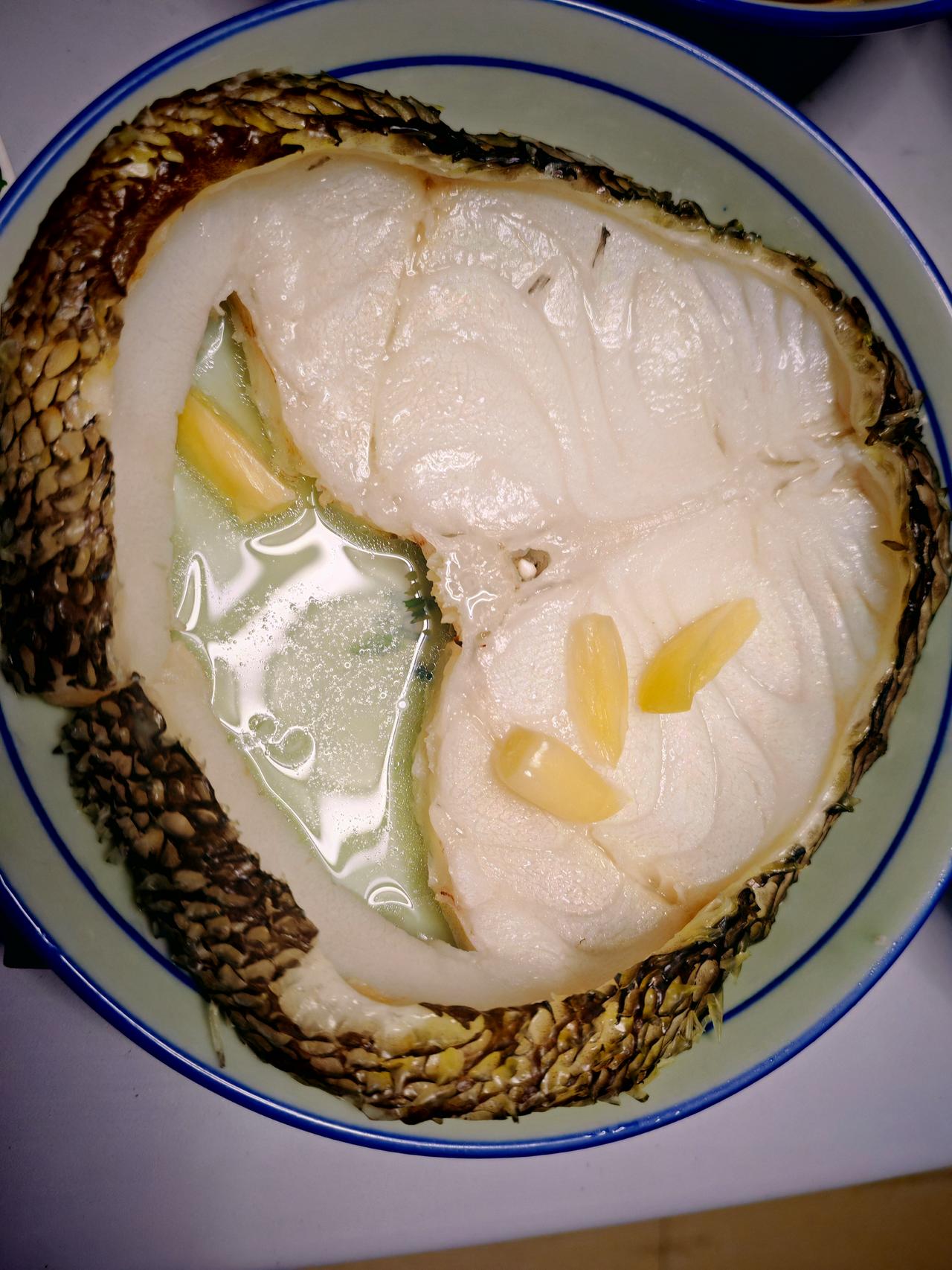 春日生活打卡季