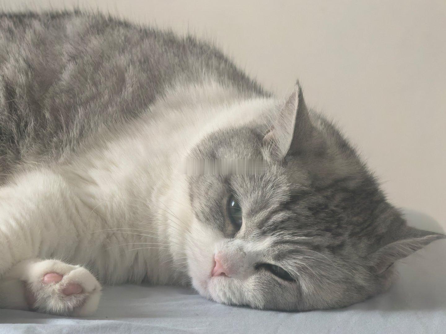 诶 裁员的风终于吹到了我这里 