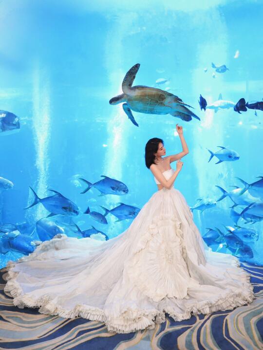 万物有灵🐬小众蓝色海底婚纱照！