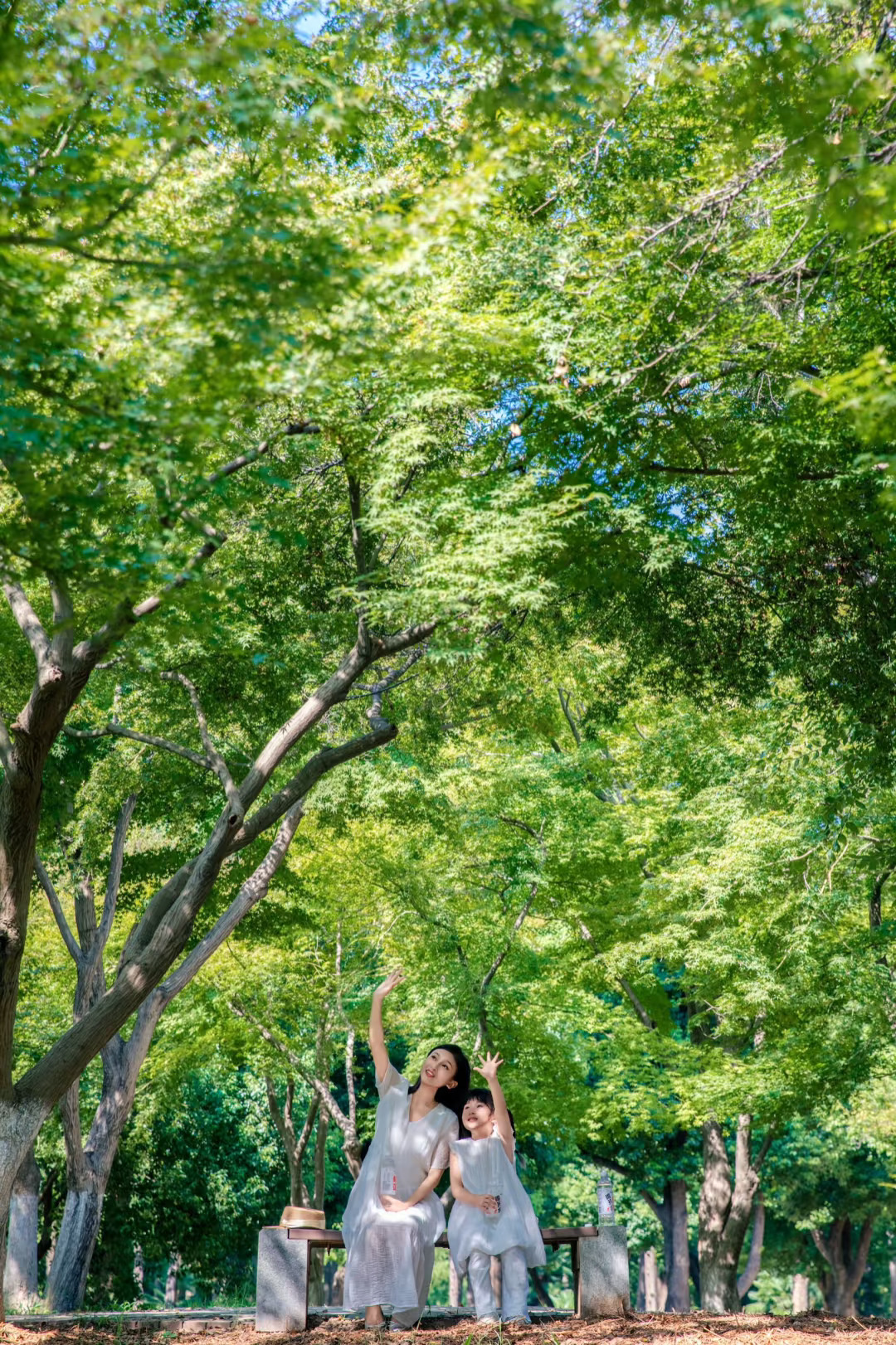 武汉夏末限定‼ 钻进森林，纯净水和清凉安排