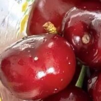 种植 🍒种植 🌸 日行一善 🍒 樱桃的种植方法：1.  种子种植：•  将