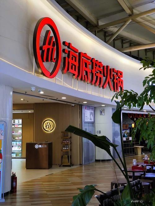 火速叫停！海底捞全面终止携宠就餐试点，卫生争议成关键导火索
 
5月26日，海底