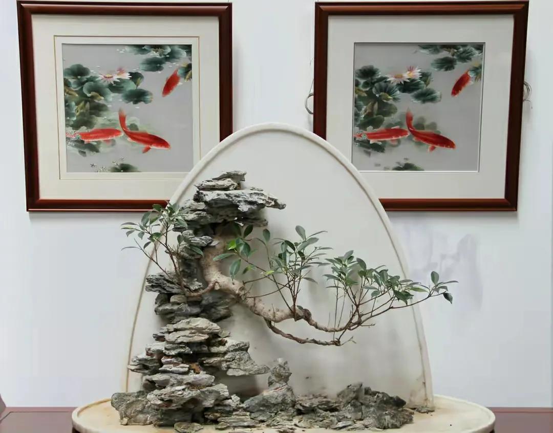中华锦绣，中国园林博物馆
欣赏完吉庆有鱼，转身便看到一座座青瓦白墙伫立在眼前，一