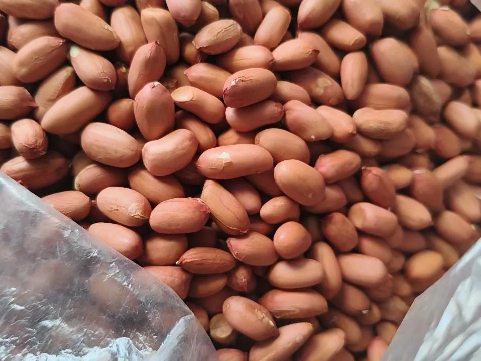 刚刚下过小雨，明后天种春季花生！
今天谷雨，是种瓜得瓜、种豆得豆的最佳时机，再过