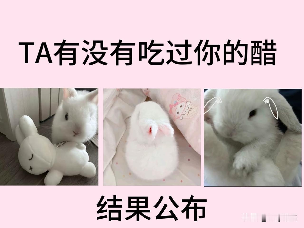 结果公布