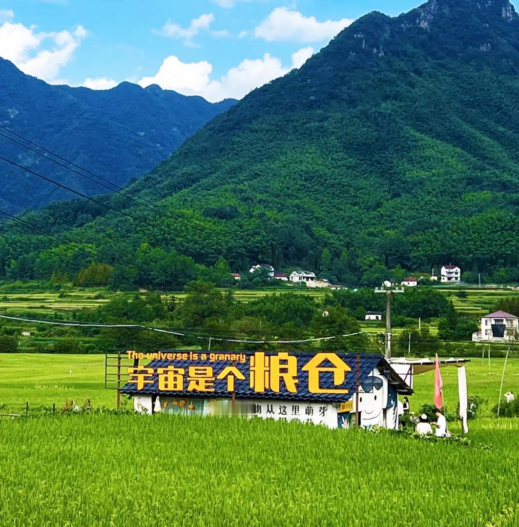 农旅业态亏钱的：踩了哪些坑？

农旅不是快生意。想赚快钱的，趁早离场，否则，越踩