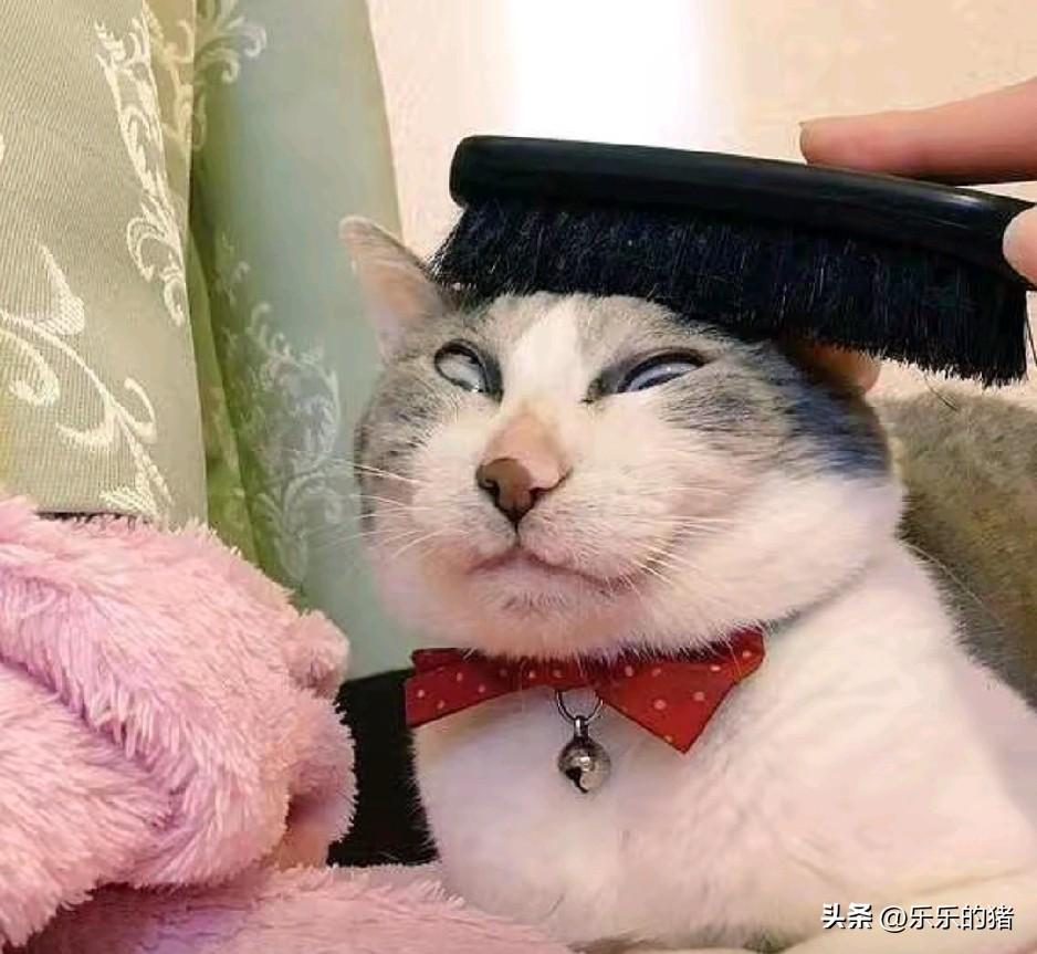 我小姨66岁，目前我都没见过能斗过她的人。上个月生病做手术，请了个护工，总共花了