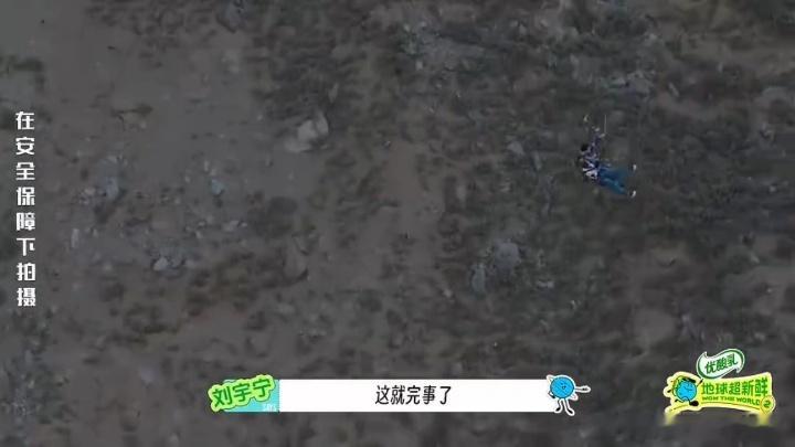 刘宇宁恐惧只有两秒刘宇宁挑战峡谷秋千前深呼吸地球超新鲜 刘宇宁的挑战心态反差感十