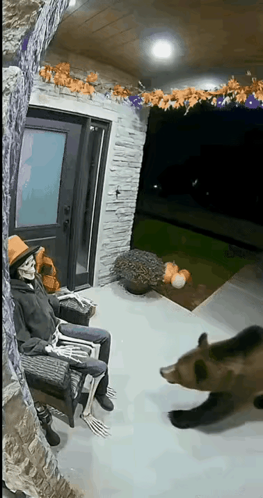 熊:这家人会不会太过分了。