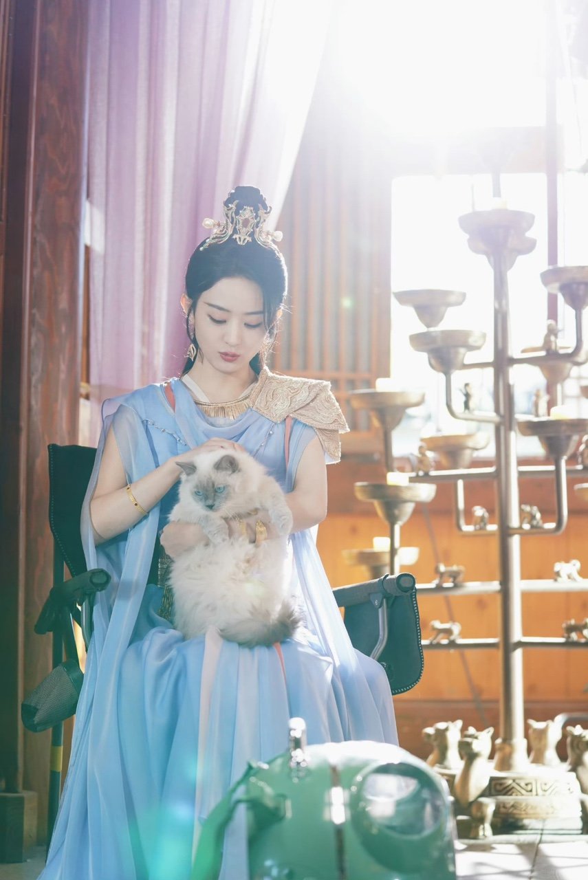 赵丽颖王爷携喵喵向大家问好赵丽颖王爷携喵喵向大家问好，抱猫猫的碧苍王好温柔啊！赵