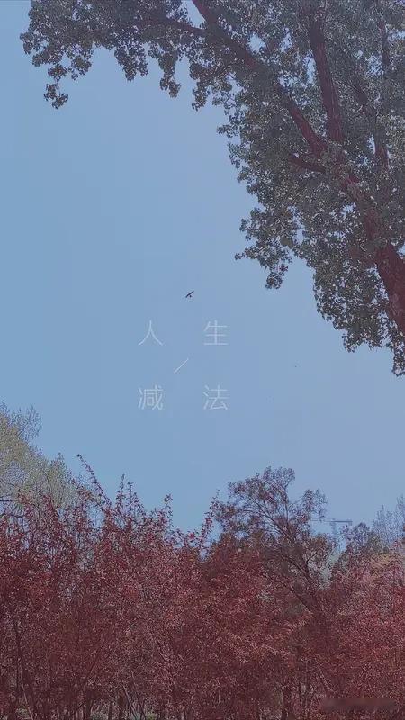 走过半生才明白，人生最难得的不是争强好胜，而是学会与自己和解。

年轻时总想着证