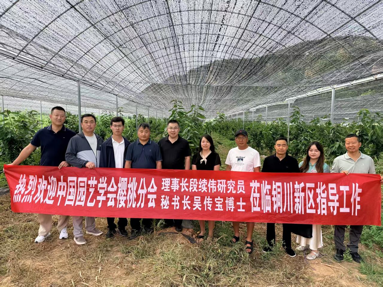 国家级樱桃产业专家莅临铜川调研超早熟樱桃产业设施及发展
    本网讯：7月1日