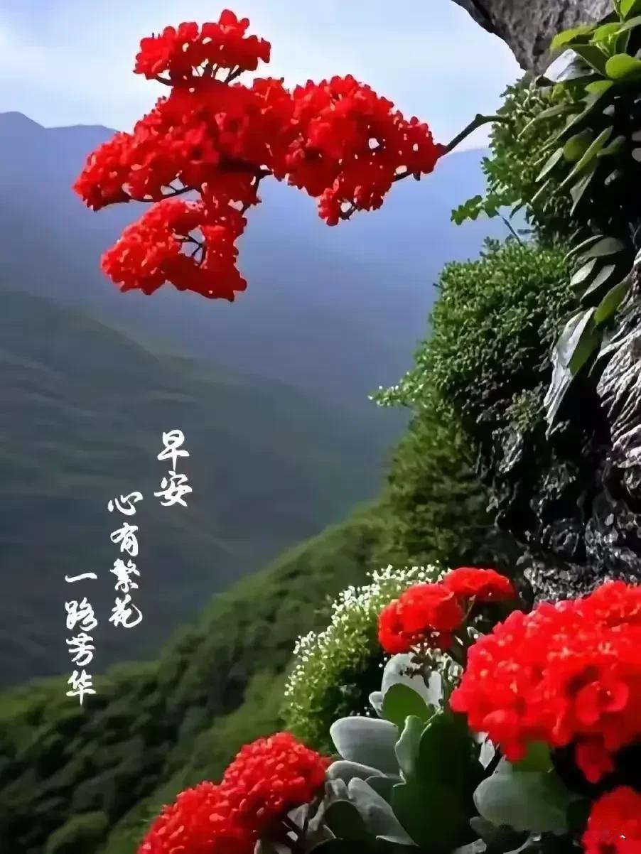 人到老年，什么才是最重要的？
我认为人到老了，有6个方面的，是最重要的事情。
①